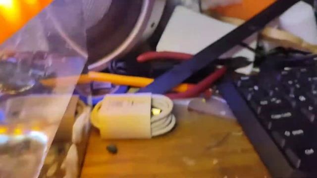мой новый сосед по рабочему столу;) мангровый краб ? смотреть онлайн