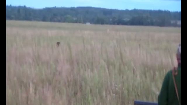 Люблю ! я это дело ... смотреть онлайн