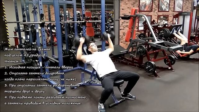 Жим гантелей на скамье под углом 45 градусов смотреть онлайн