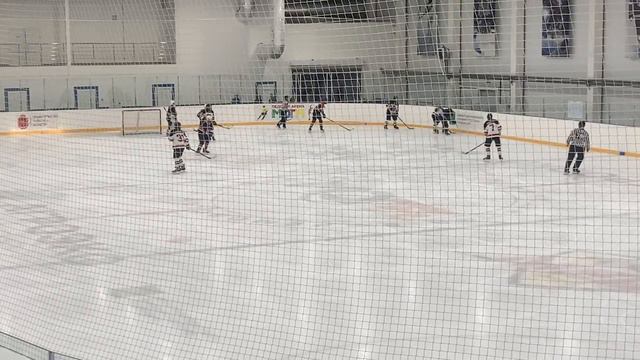 Тигры - Созвездие 3.09.22 смотреть онлайн