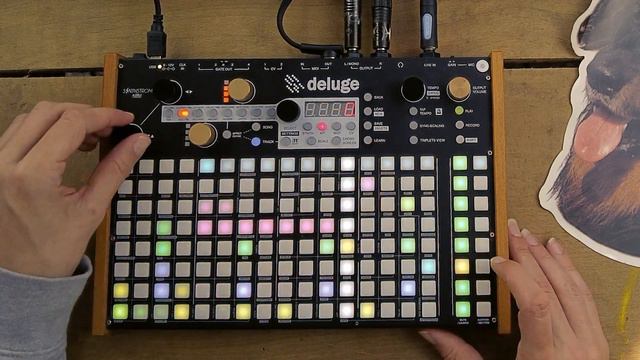 Synthstrom Deluge, Behringer Neutron & A Dog смотреть онлайн