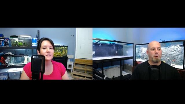 We're Giving Away A Fluval Filter and Talking Monster Tanks!! Tank Talk Live Ep 5 смотреть онлайн