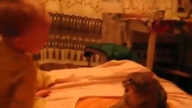 КОТ ДАЛ СДАЧИ ! =D смотреть онлайн