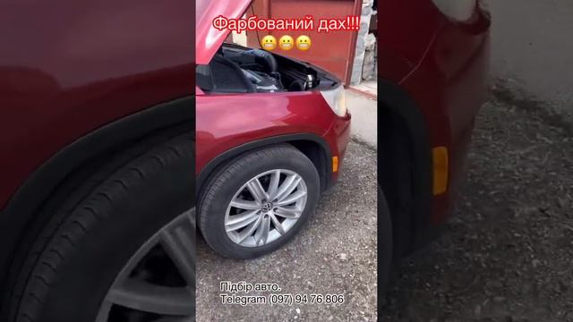 Фарбований дах! Не рекомендуємо! смотреть онлайн