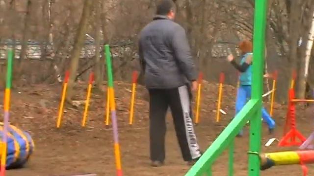 Аджилити далматин Бесси. НКП