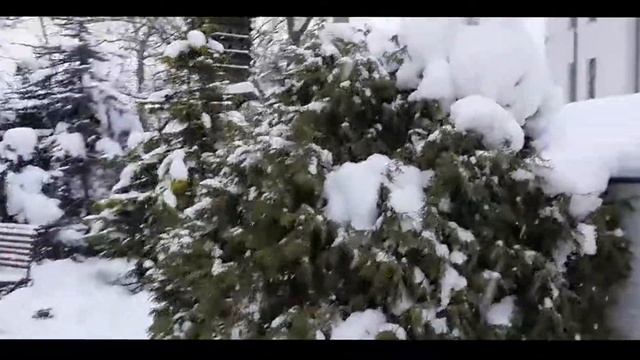 Свято-Елисаветинский монастырь, Минск, январь 2021 смотреть онлайн