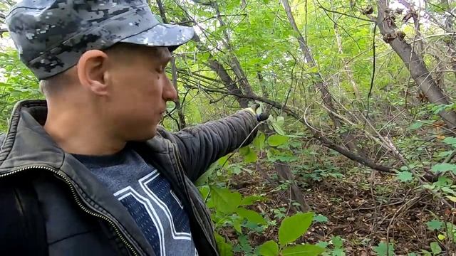 НАШЕЛ СТОЛЬКО МЕТАЛЛА ... ЧТО НЕ СМОГ УТАЩИТЬ . смотреть онлайн