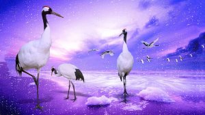 Музыка для души ??? Самая красивая и нежная мелодия???