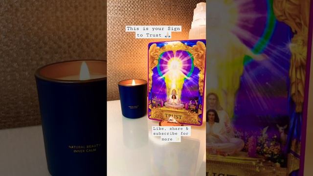 ✨This is your Sign from the Angels✨ #angels #asktheangels #oracle #oraclecards #oraclereading смотреть онлайн