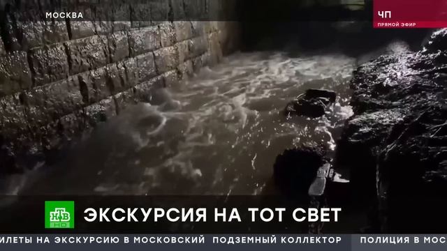 Найдены тела всех погибших в коллекторе в Москве смотреть онлайн