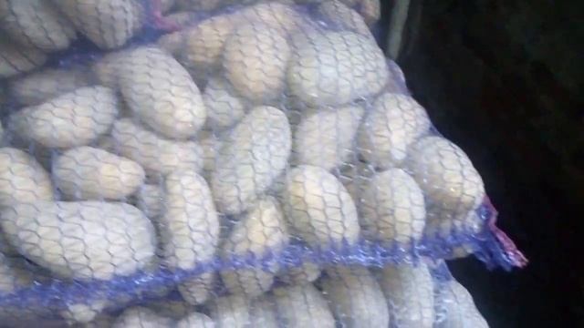 Гранада погрузка, видео поддона с весов смотреть онлайн