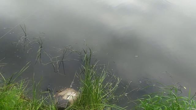 Удачная рыбалка на Днепре. смотреть онлайн