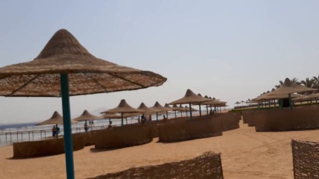 Египет, Шарм-Эль-Шейх. Пляж отеля Magic World Sharm club bay jaz. смотреть онлайн
