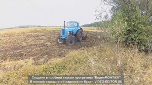 Как подготовить землю для посадки смородины|СМОРОДИНА|8|