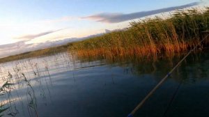 РЫБАЛКА НА ОЗЕРЕ ЧАНЫ ЧАСТЬ 2