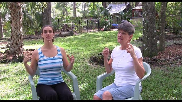 The Angelic Initiative, Episode 1182 - Rotunda Koan смотреть онлайн