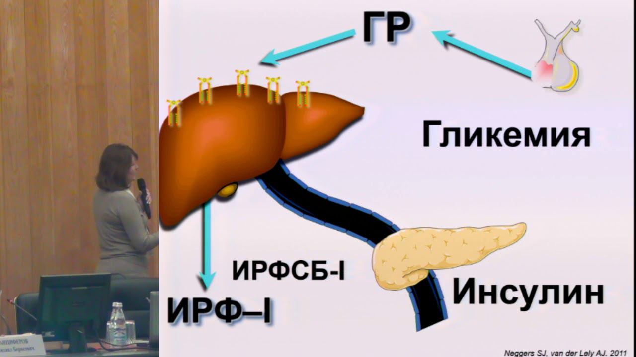 Иловайская И.А., Нарушение углеводного обмена у пациентов с акромегалией: возможности терапии. смотреть онлайн