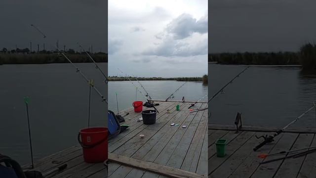 РАЙ ДЛЯ РЫБАКА #рекомендации #удочка #отдых #рыбалка #удочки #кайф #шортс #рек #озеро #вода смотреть онлайн