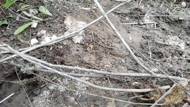 Кулинарные Путешествия по Гастрономическим Культурам