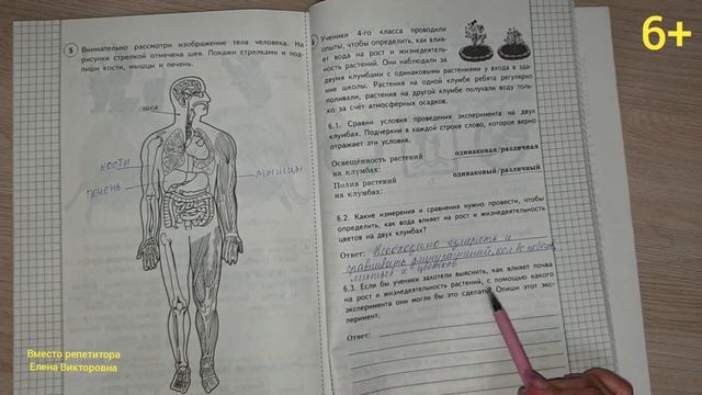 ВПР по окружающему миру в 4 классе, вариант 22 смотреть онлайн