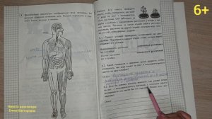 ВПР по окружающему миру в 4 классе, вариант 22