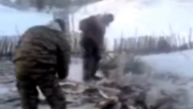 shocking fishing смотреть онлайн