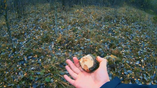 Прогулка. Неман в октябре смотреть онлайн