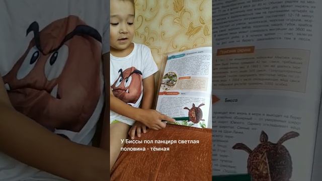 животные занесены в красную книгу смотреть онлайн