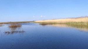 Болотоход с гибким валом - проверка на новой лодке.