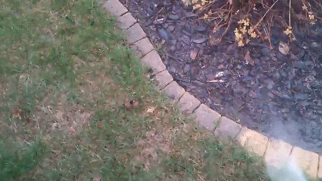 Myjka ciśnieniowa Black&Decker 1700 TX (130 bar) смотреть онлайн