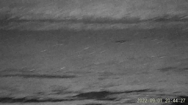 Егерь 5.5 ПСП пневматика охота на ворон..