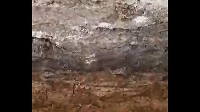 Разметка будущего дома. Выкапываем под заливку фундамента. #стройка смотреть онлайн