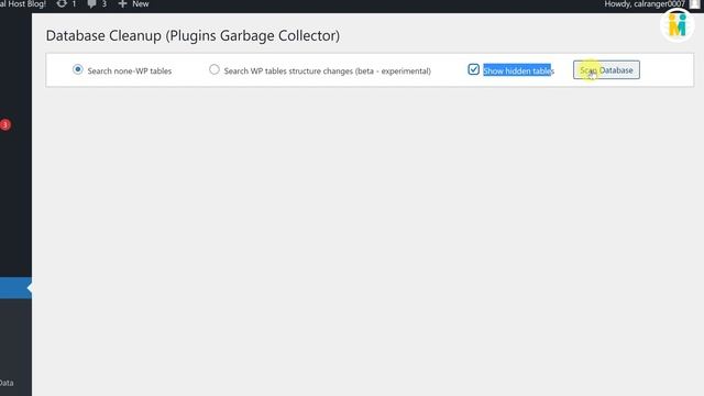 WordPress Database Cleanup | [WordPress Tutorial] смотреть онлайн