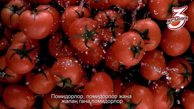 Томаты, томаты и ничего кроме томатов! смотреть онлайн