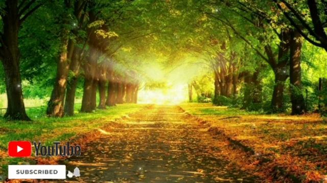 ДУА ДЛЯ УСПЕХА ДЛЯ УДАЧИ ДЛЯ ТОРГОВЛИ ДЛЯ ДЕТЕЙ ИН ШАА АЛЛАХ смотреть онлайн