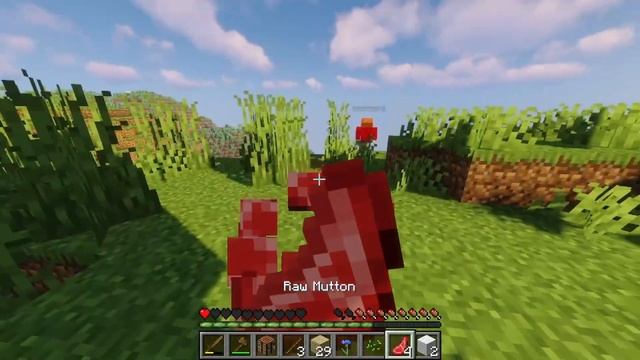 I played Minecraft Java for the FIRST time! ft. @SumDeathjr (GumbSMP) смотреть онлайн