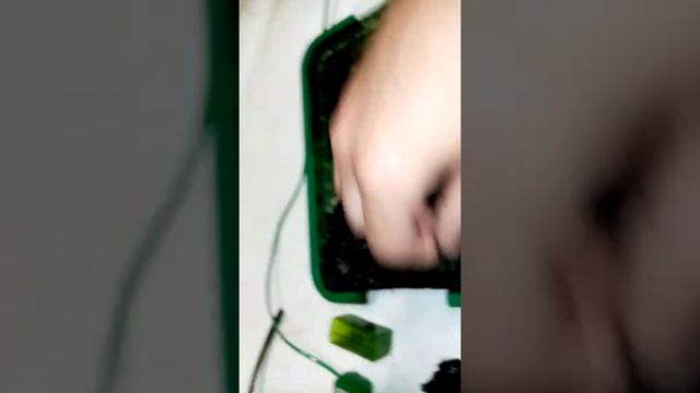 как избавится от водорослей и зеленого налета в аквариуме смотреть онлайн