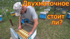 Двухматочное содержание! СТОИТ ЛИ???