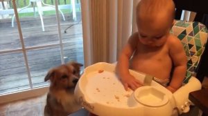 Смешные видео с детьми #150.mp4