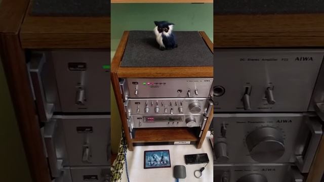 Aiwa 22 смотреть онлайн
