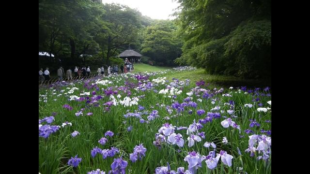 Гусятница смотреть онлайн