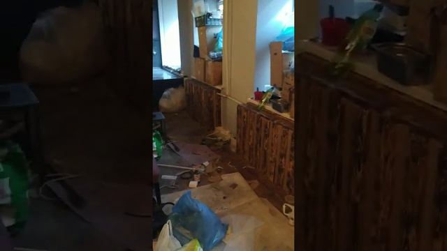 Контражурная подсветка, неон, декоративная подсветка зеркала, в "64 зерна". смотреть онлайн