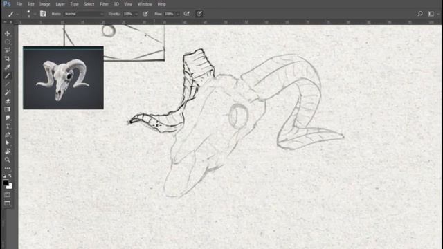 Построение объекта. Череп барана. Тренировочный процесс. смотреть онлайн