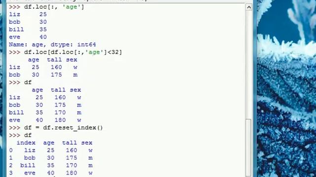 2) pandas: DataFrame смотреть онлайн