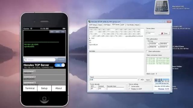 Simple TCP Terminal Demo смотреть онлайн