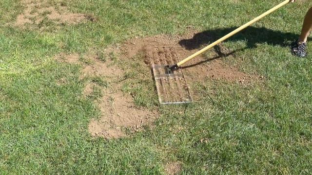 How to Topdress & Level Your Lawn Using Sand or TopSoil? Beginners DIY Guide смотреть онлайн