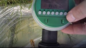 программирование таймера полива