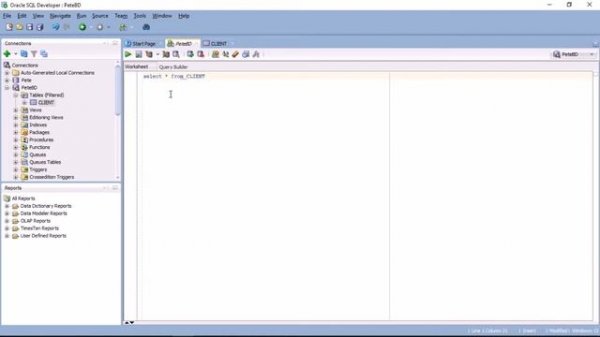 Oracle SQL Developer (Простые запросы)
