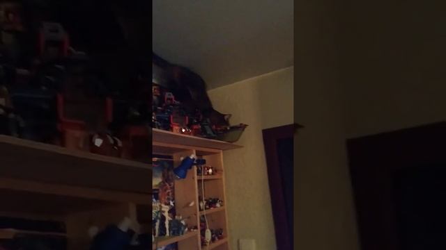 Кот дерет натяжной потолок и считает себя Карлсоном))) смотреть онлайн