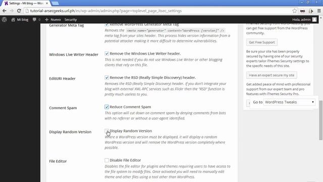 iThemes Security para WordPress: Ajustes de WordPress смотреть онлайн
